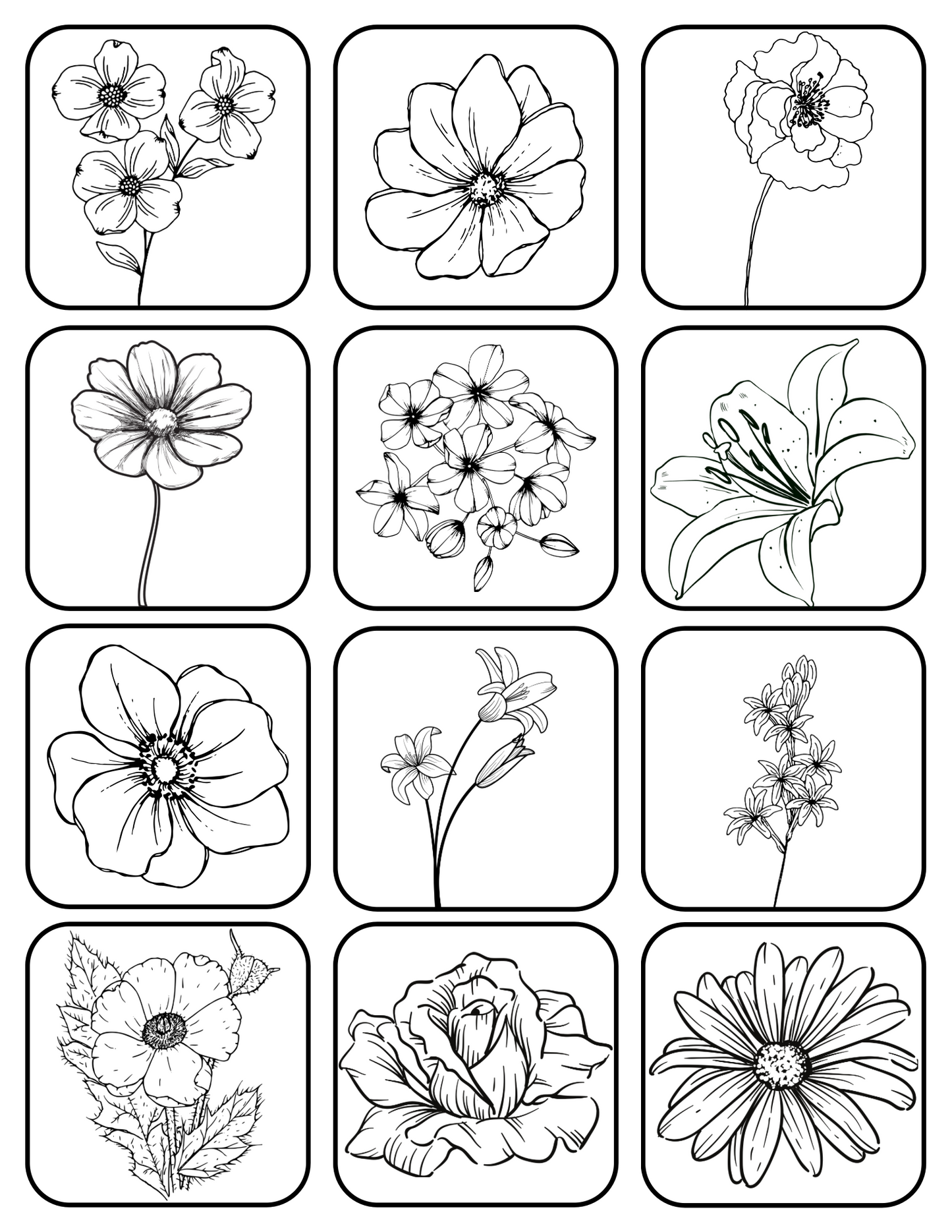 Black & White CIY