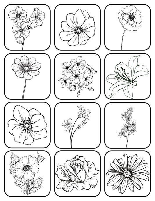 Black & White CIY
