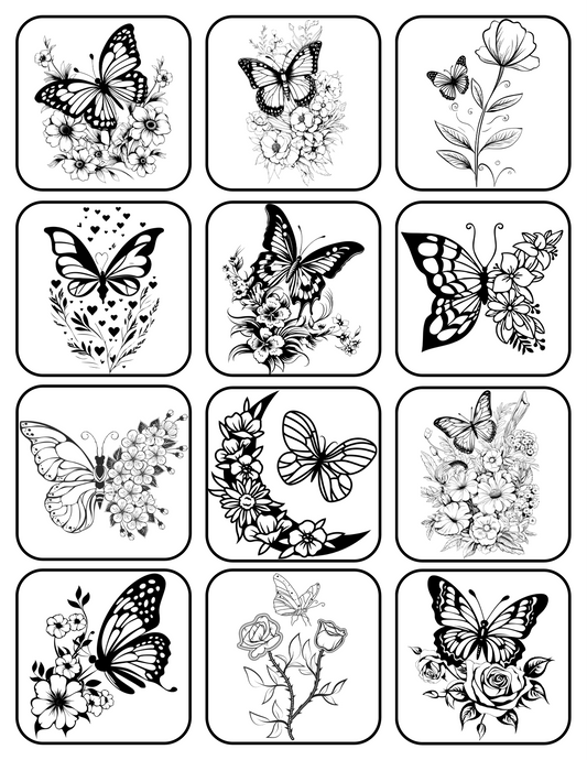 Black & White CIY